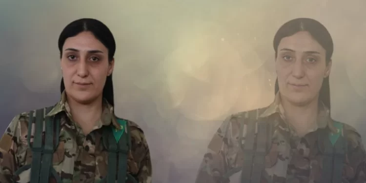 YPJ: Hevrê Hêvî Amûdê Şehîd Şû