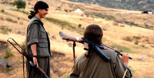 Şehit Nupelda Sêrt Anısına