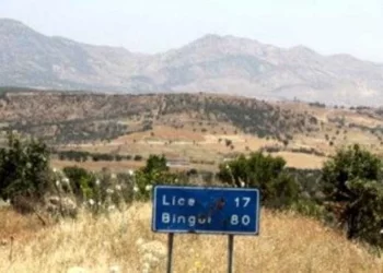 Licê kırsalında silah sesleri yükseldi