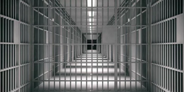 Açlık grevindeki tutsaklar: Ne olursa olsun, mutlaka kazanacağız, zafer bizimdir