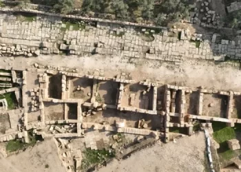 Dara antik kentinde tarihi çarşı keşfedildi