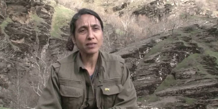 Dilzar Dîlok: Öz savunma başka bir güce bırakılamaz