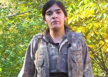 Dijwar: 25 Kasım Kadına Yönelik Şiddete Karşı Küresel Direnişin Sembolüdür