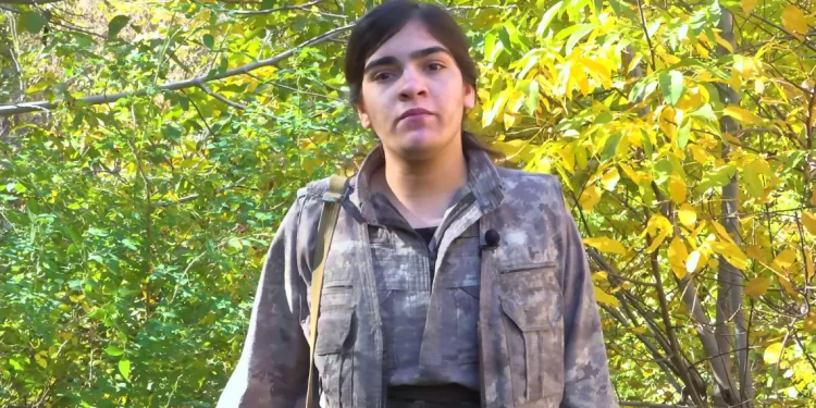 Dijwar: 25 Kasım Kadına Yönelik Şiddete Karşı Küresel Direnişin Sembolüdür