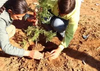 Şehit Egîd Saroxan Gençlik Komünü’nden Ekolojik Hamle