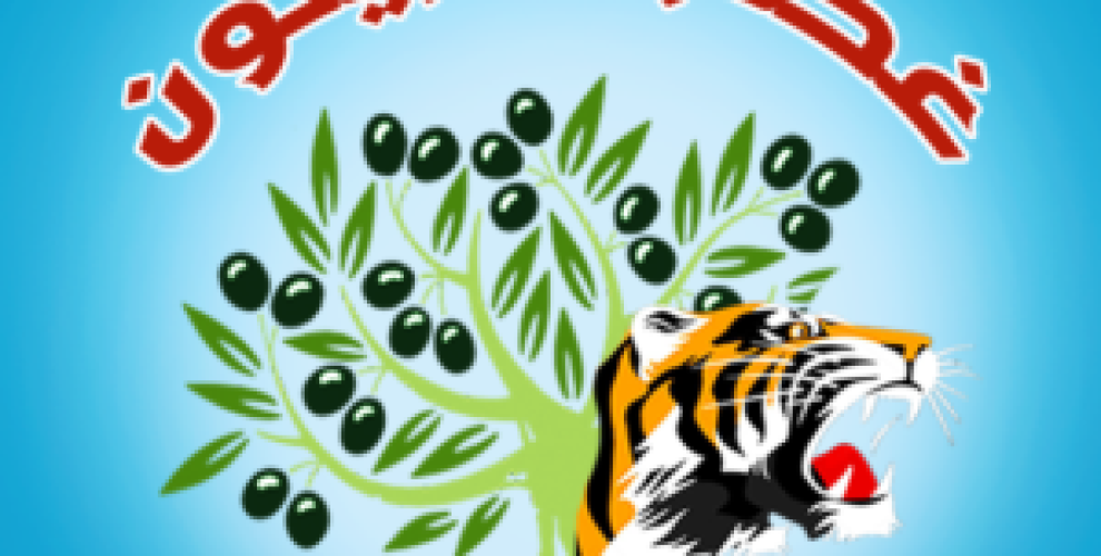 Zeytin Gazabı’ndan Efrin’e saldıran çetelere eylem