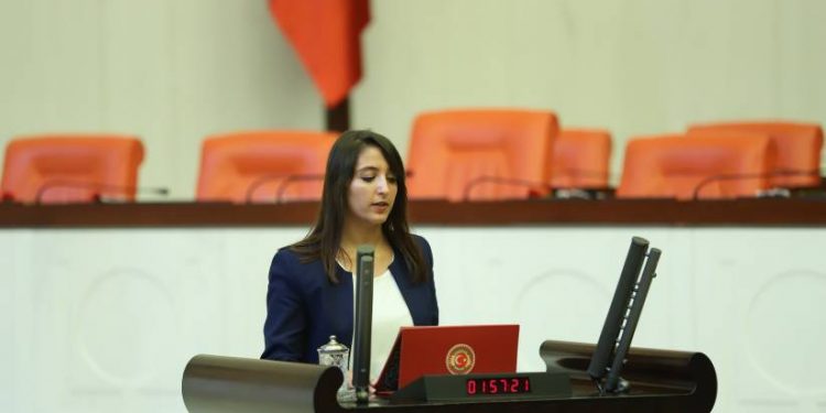 Dersim Dağ’dan Amed’teki sahte seçmenlere ilişkin soru önergesi