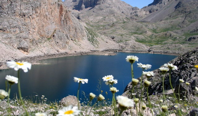 Kapitalizm doğayı tüketiyor