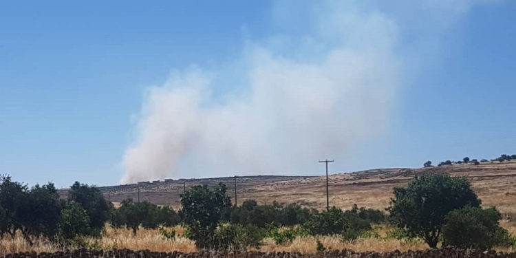 İşgalci Türk çeteleri Efrîn’deki ekili arazileri ateşe veriyor