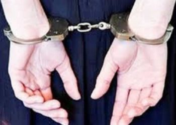 Açlık grevindeki direnişçinin annesi gözaltına alındı