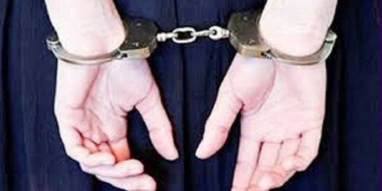 Açlık grevindeki direnişçinin annesi gözaltına alındı