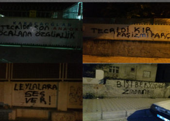 Adana gençliğinden yürüyüş ve duvar yazılama eylemleri