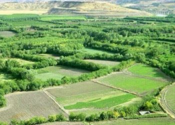 Sur’dan sonra sıra Hevsel’de: İşgalci devletin eli Hevsel’e yetişti