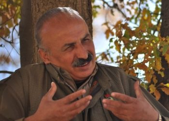 Karasu: Gençler Kürt analarına el kalktığını görerek ayağa kalkmalı