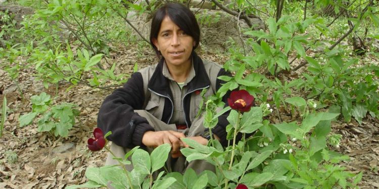 Rojin bir Zagros sevdalısıydı