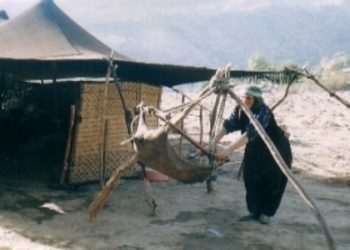 Kürt Toplumunun Varoluşu ve Tarihsel Serüveni – I