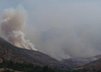 Biradost İşgalinin Ardındaki Gizli Hesaplar