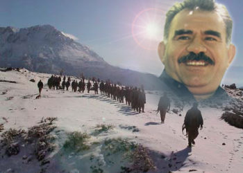 Devrimcilik aşk işidir