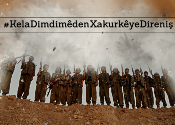 Sosyal Medya’da #KelaDimdimêdenXakurkêyeDireniş hashtagı