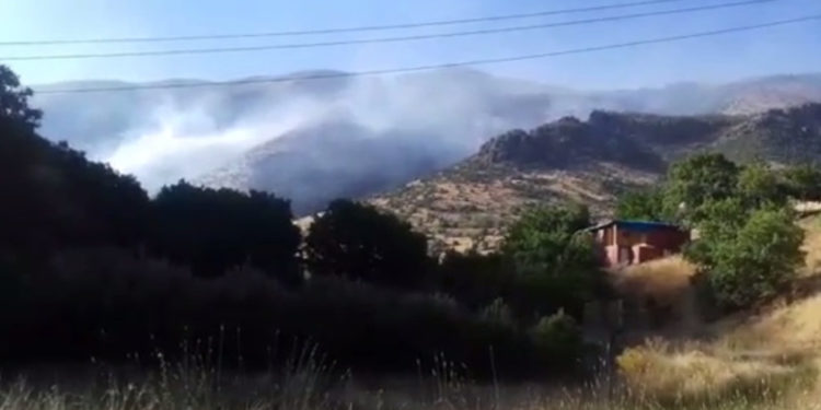 İşgalci Türk devleti köylülere ait ekin ve bahçeleri ateşe verdi!