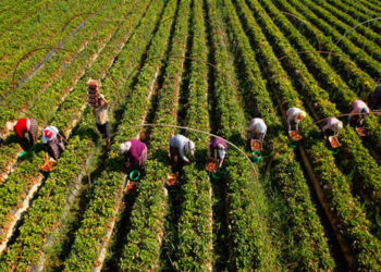 Kadının emeği üzerinden biçimlenen olgu: İktidar