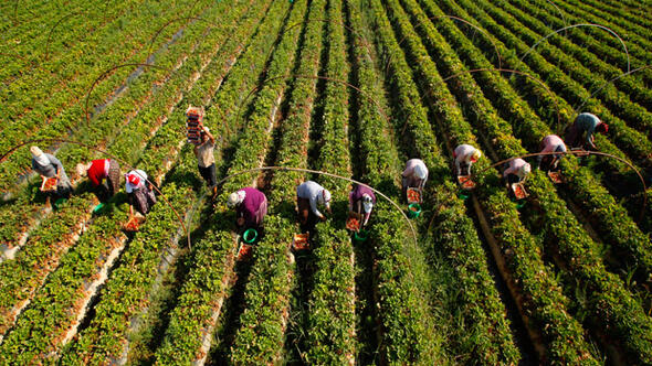 Kadının emeği üzerinden biçimlenen olgu: İktidar