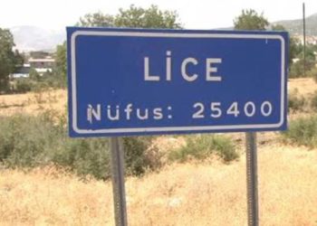 Lice’de gözaltına alınan 2 yurttaş daha serbest bırakıldı