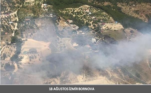 FLAŞ- Ateşin Çocukları İnisiyatifi: Sürekli ve kesintisiz ateşten eylem sürecini başlatıyoruz