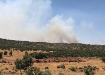 YENİLENDİ- Bagok’taki yangını köylüler söndürdü