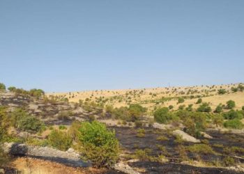 Mêrdin bayramı yangın ile karşıladı