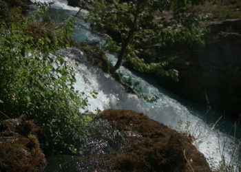 Kendi hayatını başlatmak