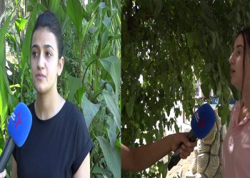 ‘Küçük yaşta evlilik çocukların hayalinin çalınmasıdır’