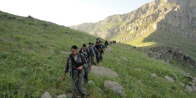 Kayalarda Kök Salmaktır Gerillacılık -I