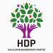 HDP Gençlik Meclisi Rojava Direnişine sahip çıkmaya çağırdı