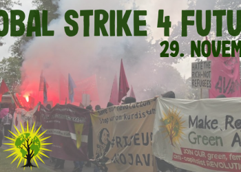 “Rojava’yı savunmak, ekolojik bir toplumun inşasını savunmak demektir”