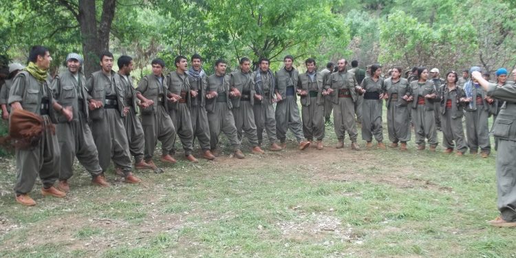 Daimi bir bahardır gerilla