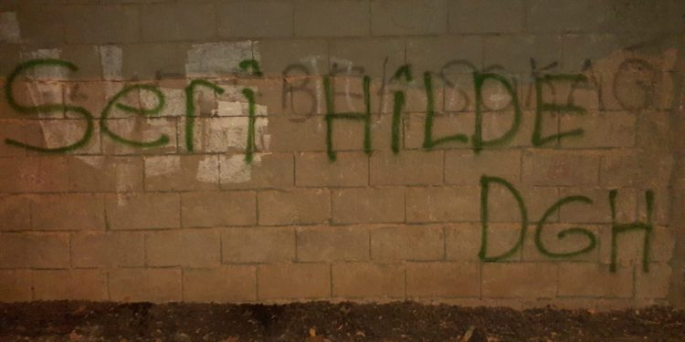 Mûş gençliğinden duvar yazılama çalışması