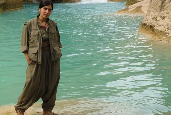 Şirnex Direnişi – Ölümsüz komutan, Zeryan’ın kaleminden: Selam olsun direnenlere-XIII