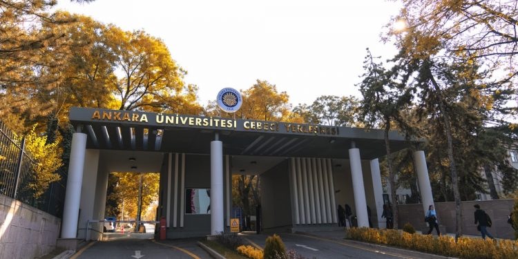 Bir grup faşist öğrencilere saldırdı