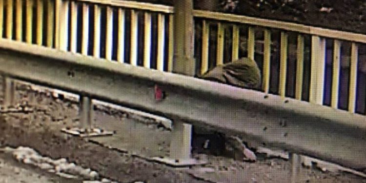 Gülistan’a ait olduğu iddia edilen cenazeyle ilgili ailesine bilgi verilmedi