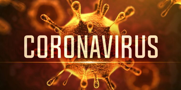 Son kabus: Yeni Coronavirus! – Nedir? Nasıl bulaşır? Korunma yolları neler?