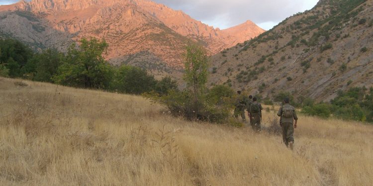 Gerilla’dan bir gün – II