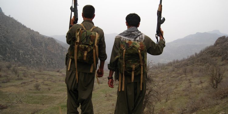 Gerilla’dan bir gün – I