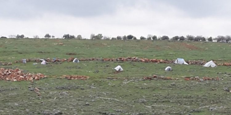 Faşist TC’nin “Amara” korkusu