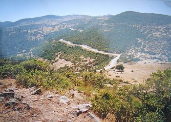 Kapitalizmin doğa düşmanlığı Madra Dağı’nda