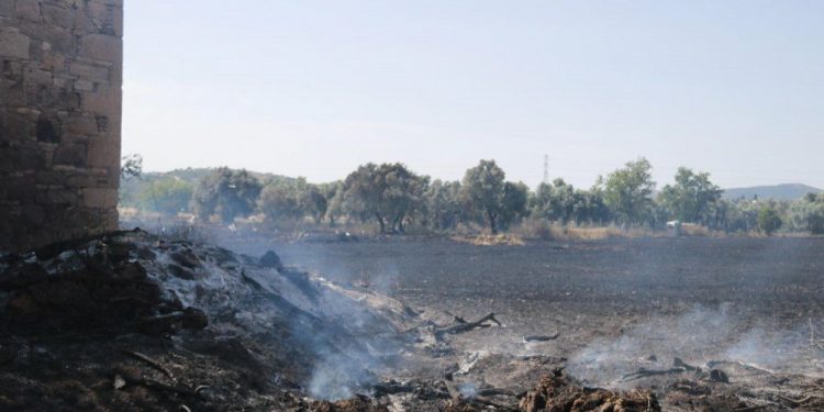 Şehit Halil Çavgun İntikam Birimlerinden eylem