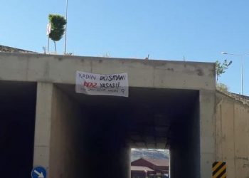 HDP Genç Kadın Meclisi ve Gençlik Meclisinden eylem