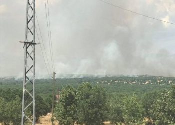 Lice’de işgal operasyonu ve orman yangını