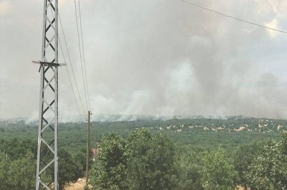 Lice’de işgal operasyonu ve orman yangını
