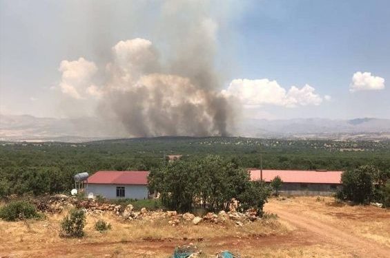 Lice’de işgal operasyonu ve orman yangını